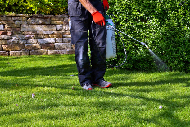 Professional Pest Control in Rocky Top, TN